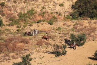  enjoying a horseback riding route in Seville 